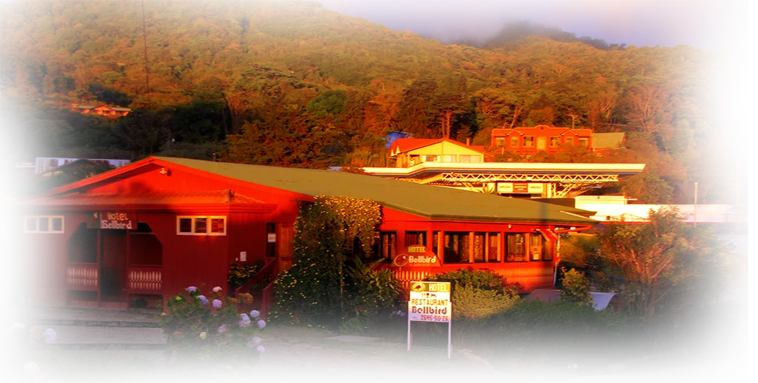 Scenic views of the Monteverde cloud forest