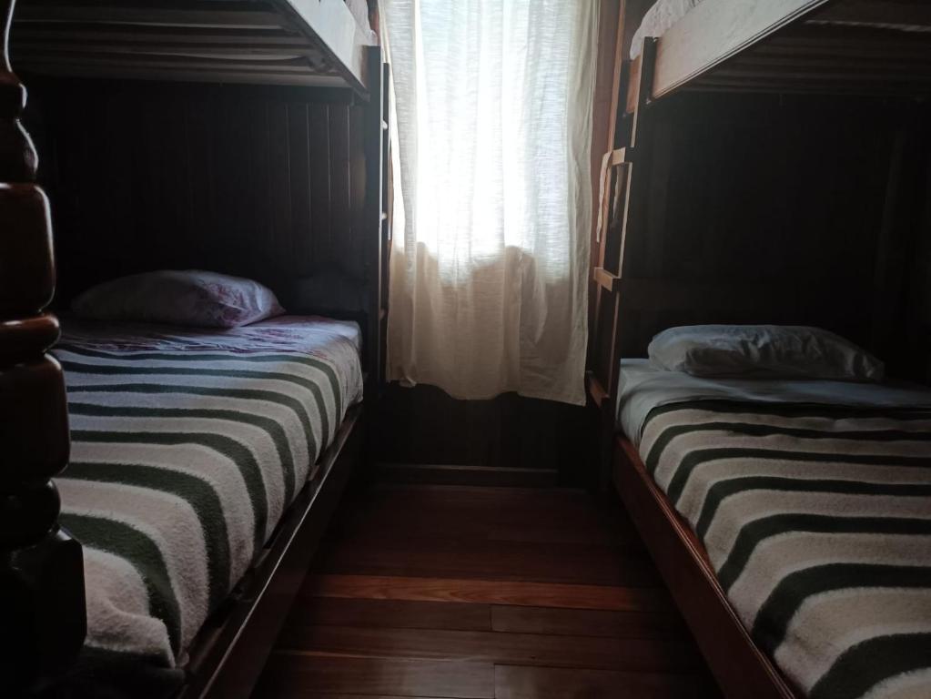 Family Room #8 — bunk beds overview